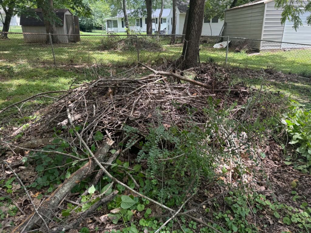 Pile of cut branches and brush in a backyard beside a chain-link fence before removal
