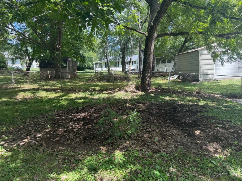 Backyard beside the chain-link fence after the large brush pile was removed