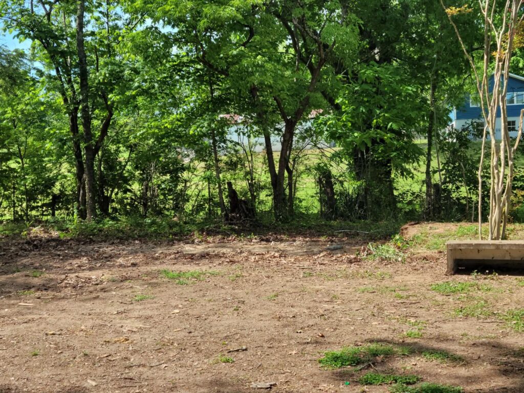 Cleared ground in a backyard bordered by trees.