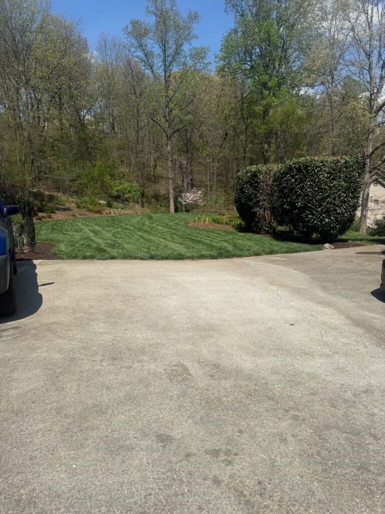 Open driveway beside a lawn and shrubs