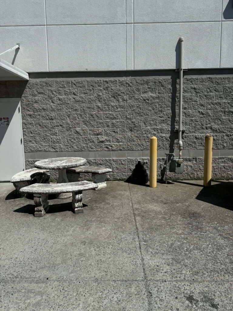 Clinic outdoor area after the medical refrigerator was removed