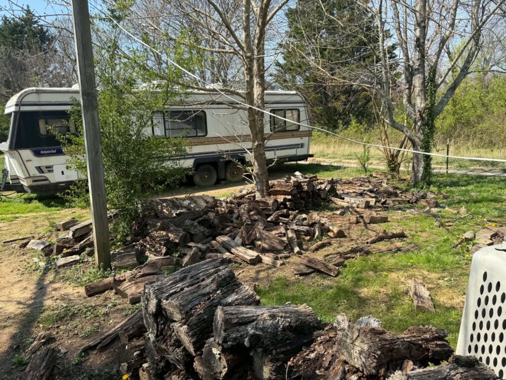 Pile of cut wood on the ground beside a parked trailer before yard-debris pickup