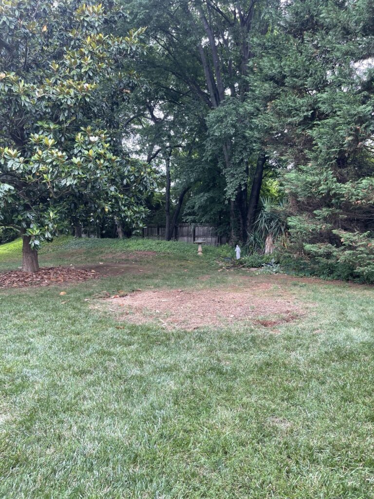 Portrait view of the lawn and exposed ground after the wooden playset was removed in Farragut.