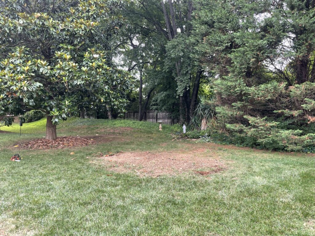 Wide view of the Farragut backyard after playset removal, with exposed ground surrounded by lawn and trees.