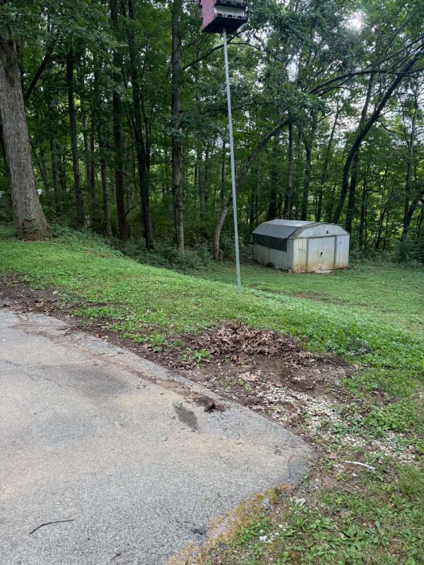 Outdoor area beside a small shed, trees, and a birdhouse pole at the Lenoir City job.